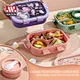 4 Divided Bento Lunch Box